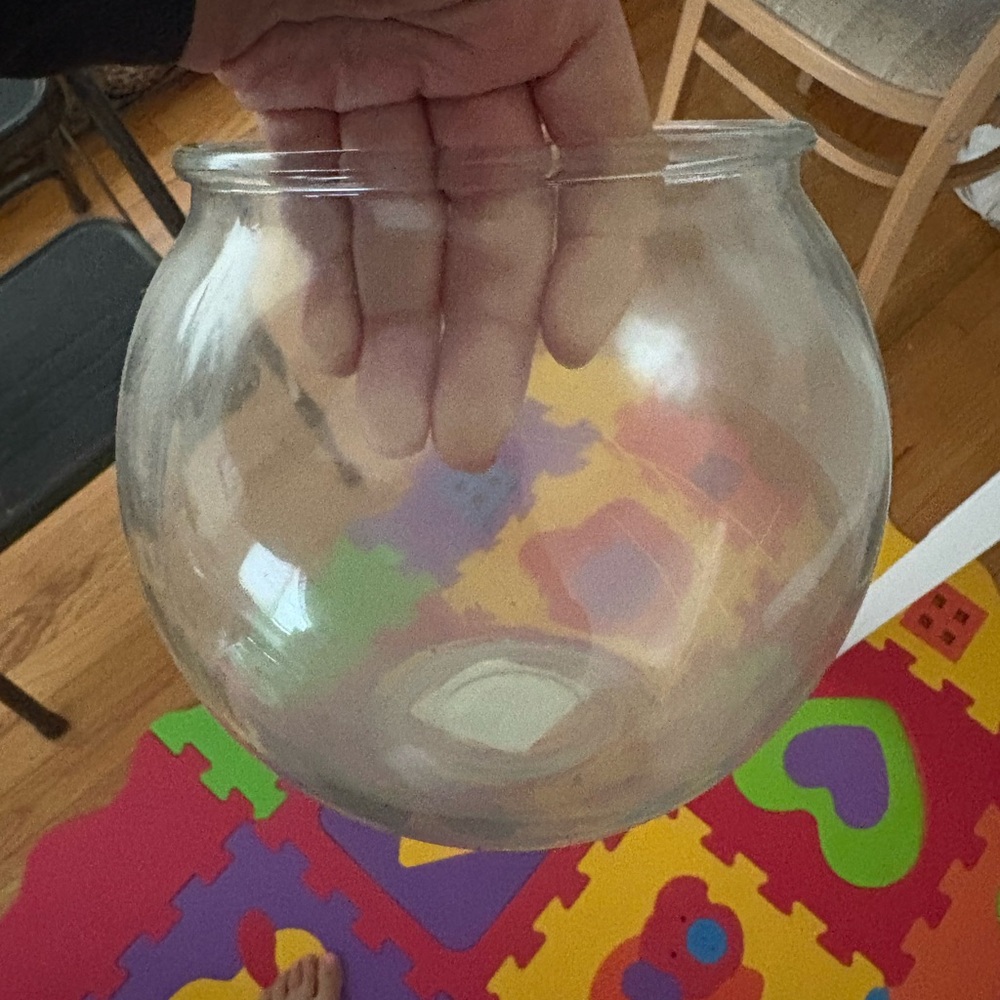 Clear Glass Fish Bowl